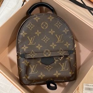 LOUIS VUITTON PALM SPRING Mini Backpack Bag
